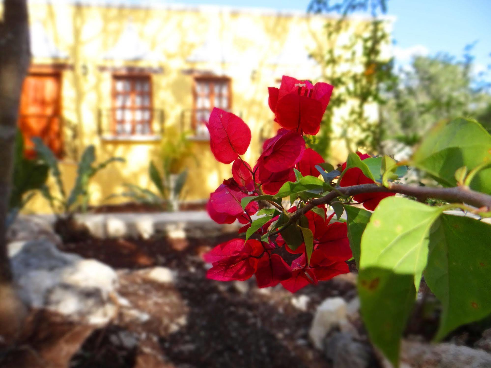 Bed and Breakfast Hacienda Cobá Exteriér fotografie